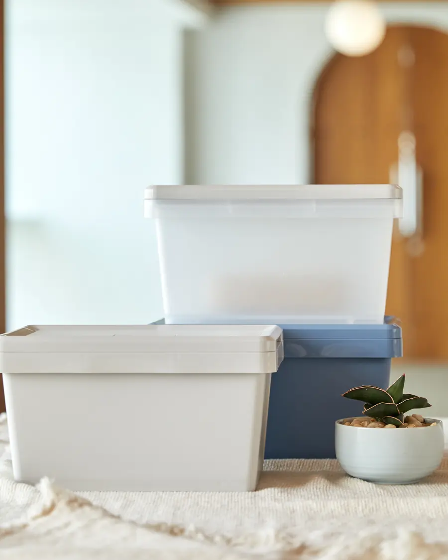 Stacked white and blue storage boxes with a small plant.